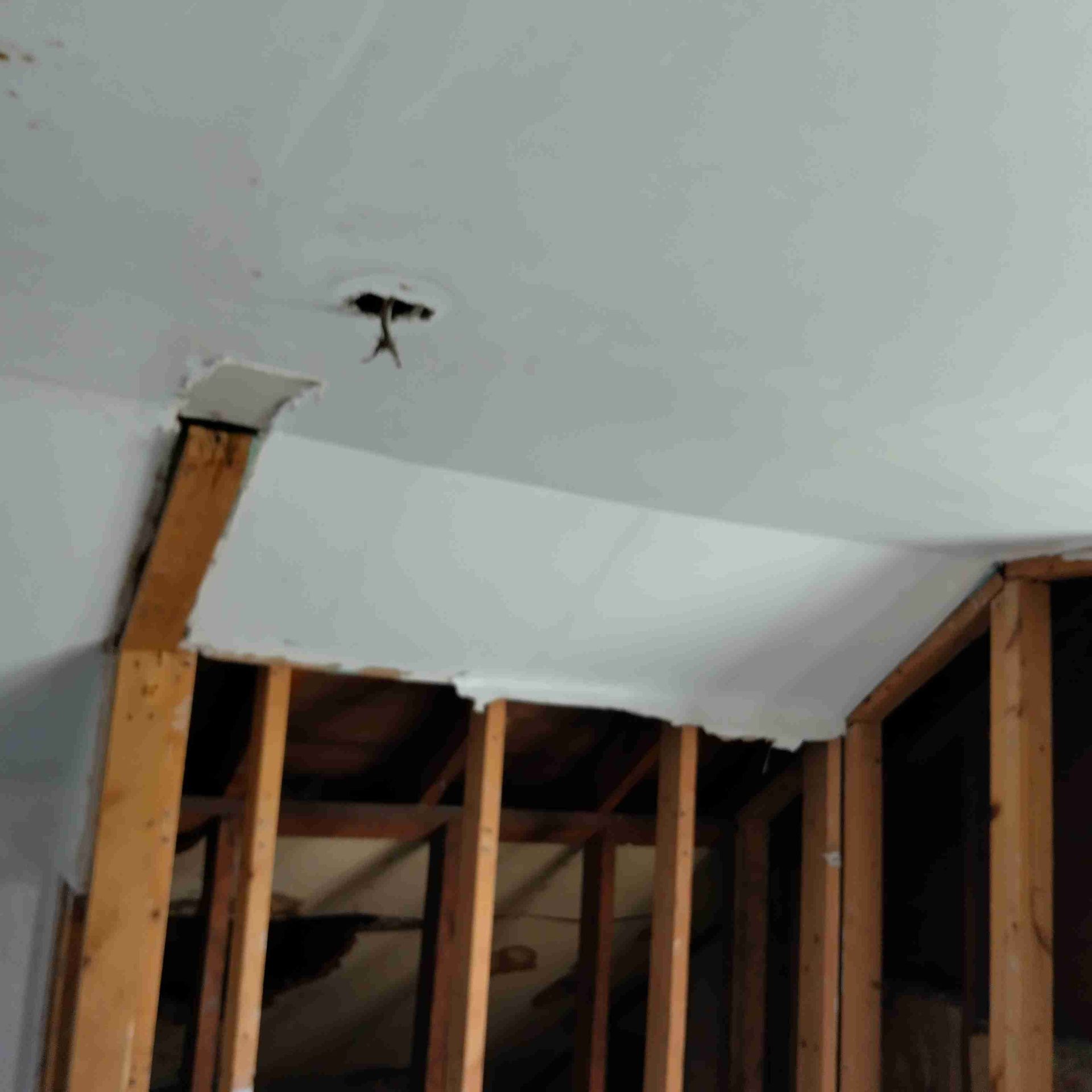 Drywall installation project by contractor in Hialeah